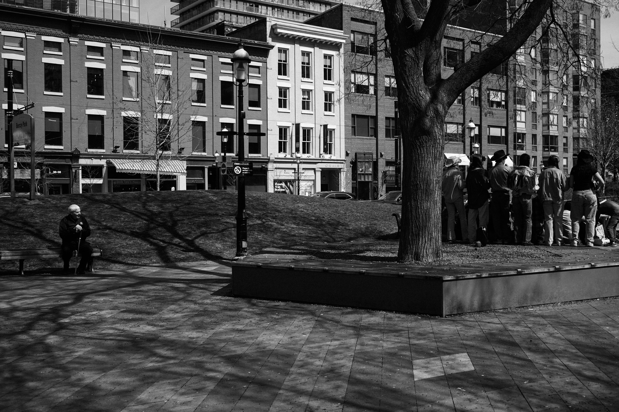 Elderly man sitting alone on a park bench, a group gathered in the distance