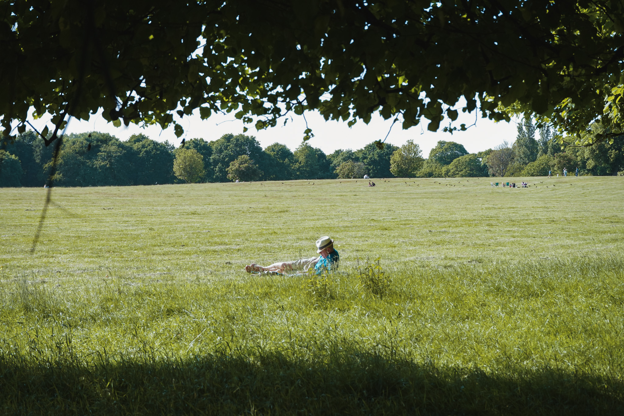 Person sitting alone in a vast green field, framed by tree canopy above