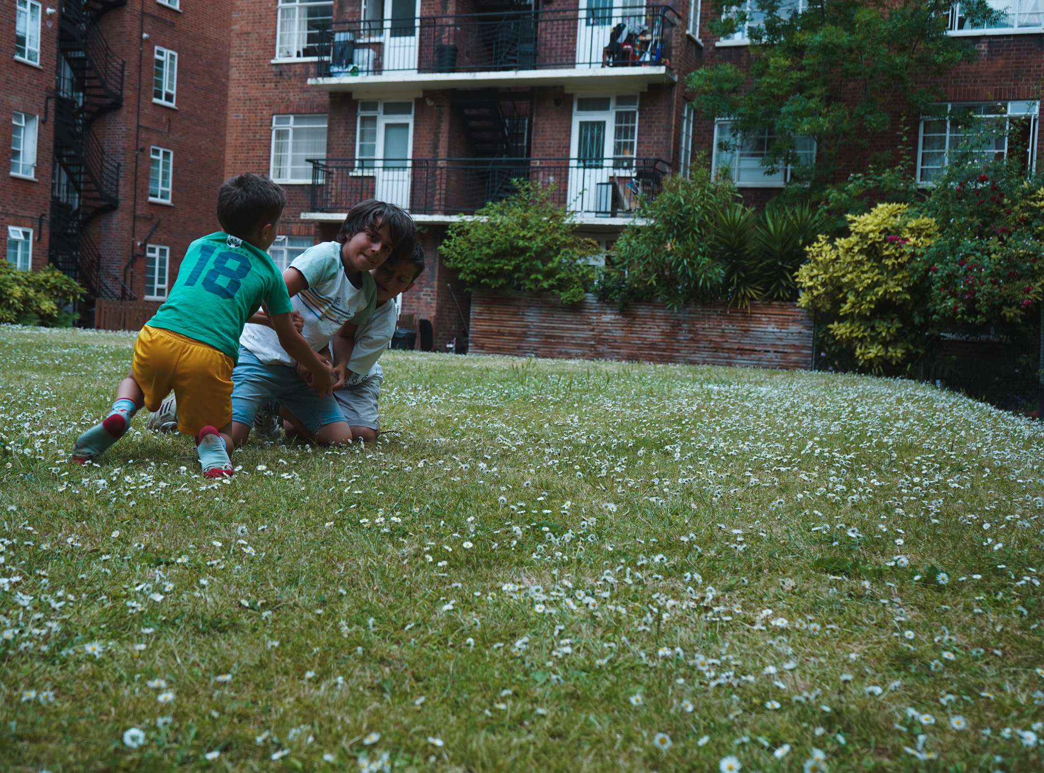 Two children wrestling on grass covered in daisies, apartment building behind