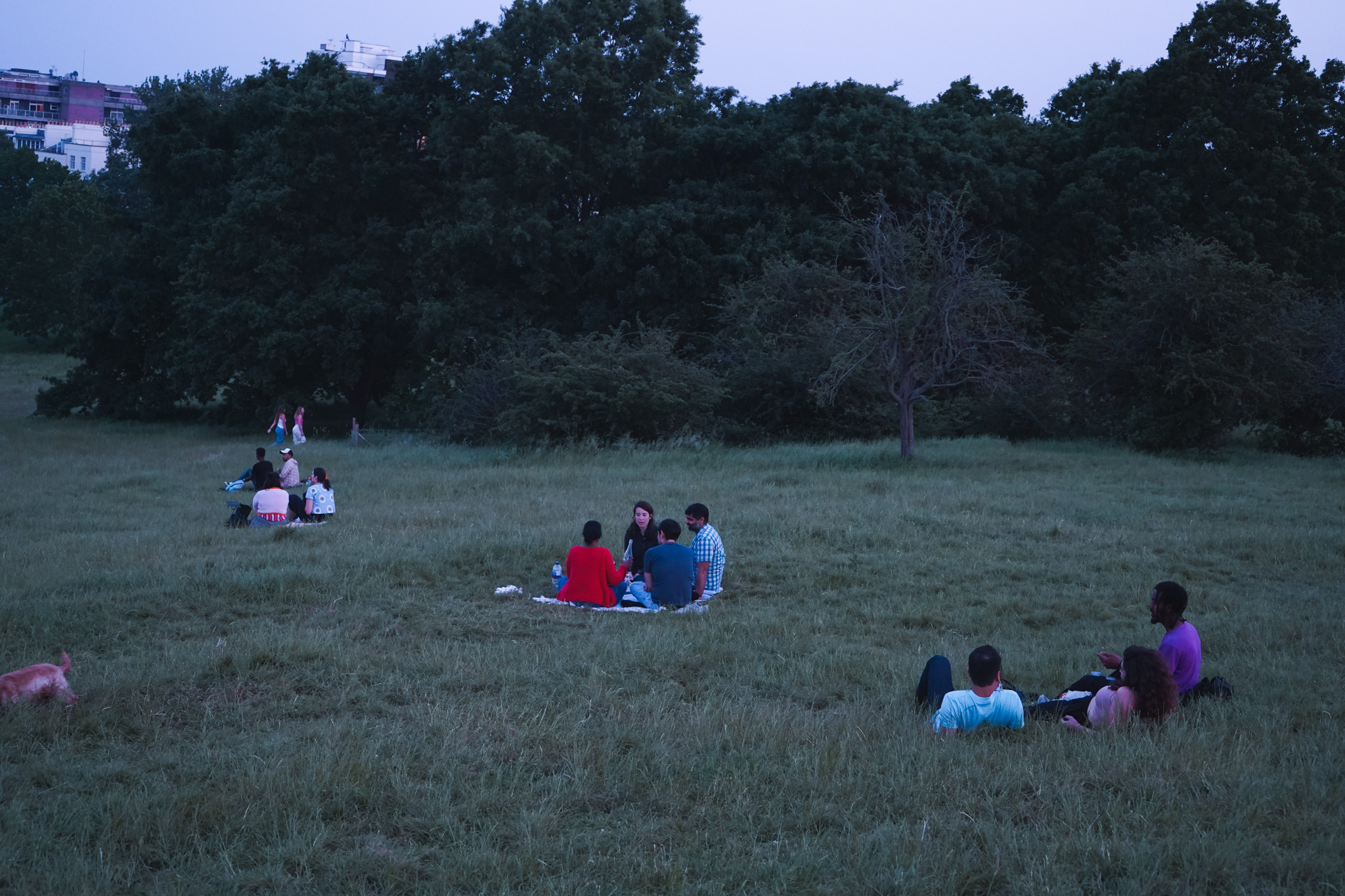 Groups of people scattered across a field at dusk, sitting in small clusters on the grass