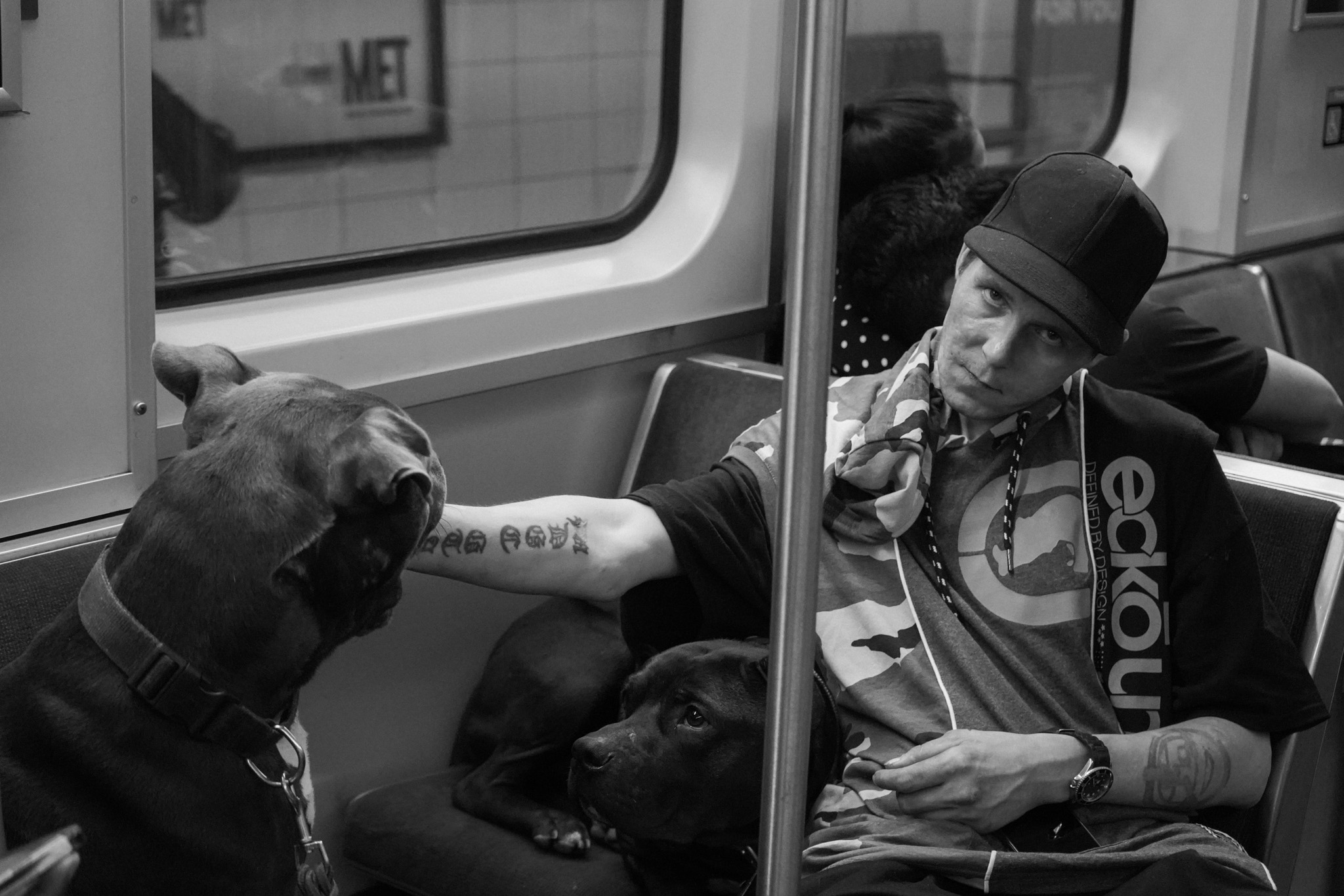 Young man with two dogs resting on the metro