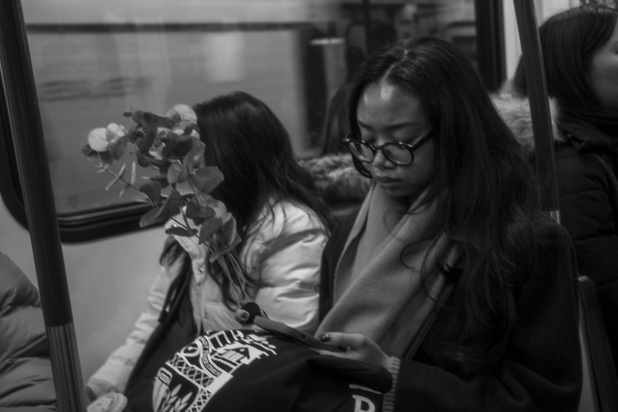 Young woman reading with flowers beside her on the train